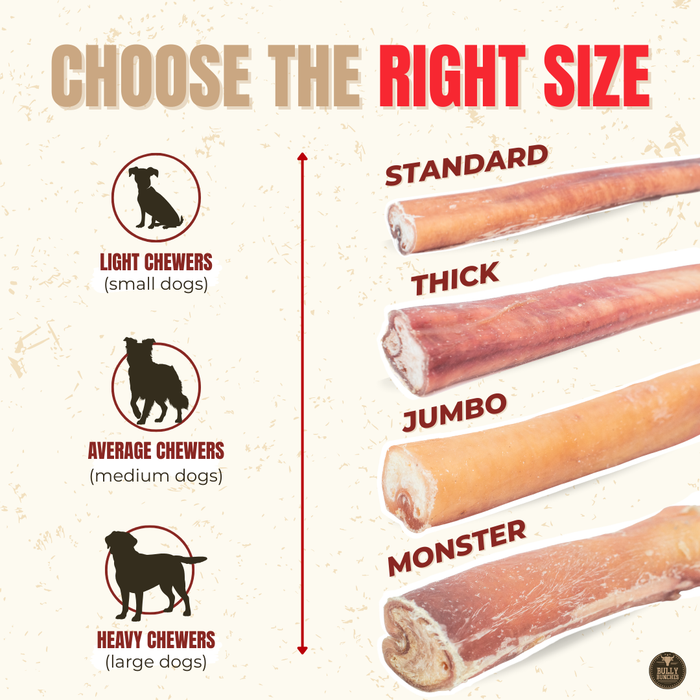 Single-ingredient beef bully stick - no additives, no rawhide | Ombrava