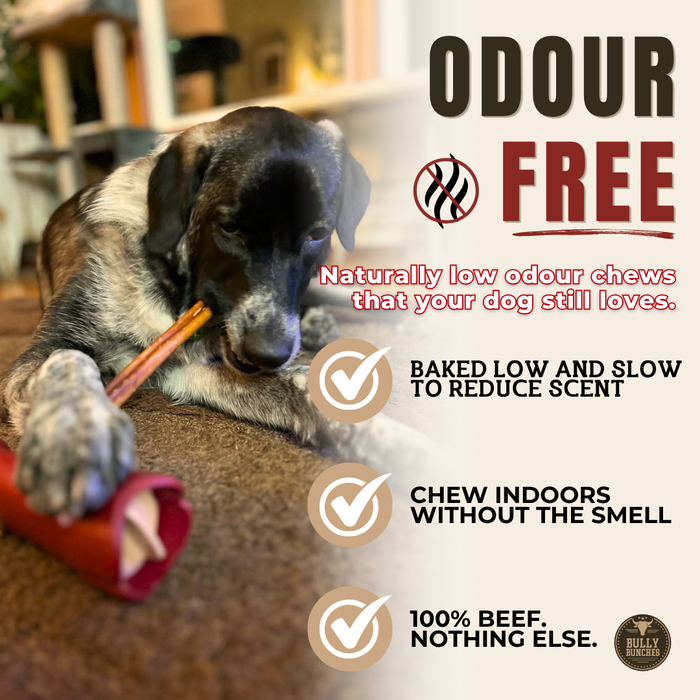 Single-ingredient beef bully stick - no additives, no rawhide | Ombrava