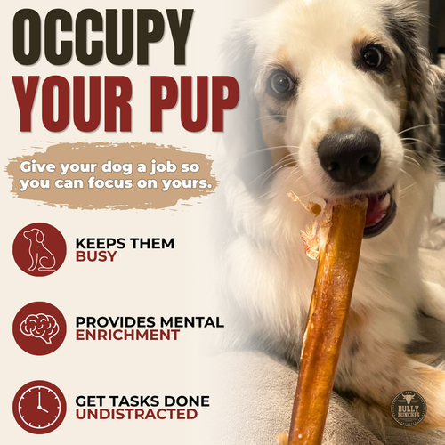 bully stick close-up showing natural beef texture | Ombrava
