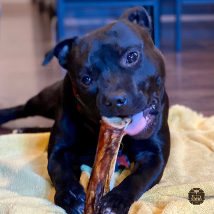 Single-ingredient beef beef marrow bone - no additives, no rawhide | Ombrava