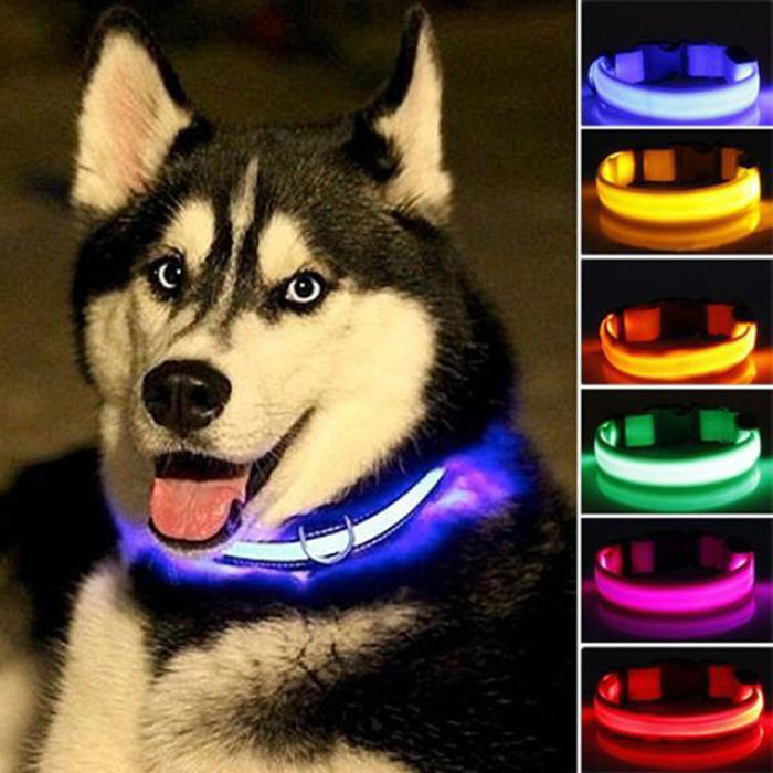 5-Piece Set of Illuminated Nylon Dog Collars: blue, orange dog, functional pet accessory style