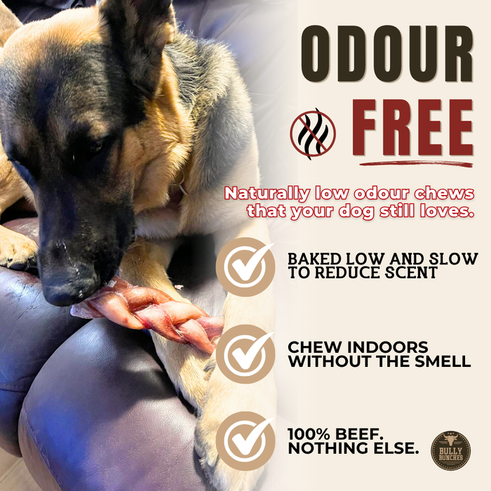Single-ingredient beef braided bully stick - no additives, no rawhide | Ombrava