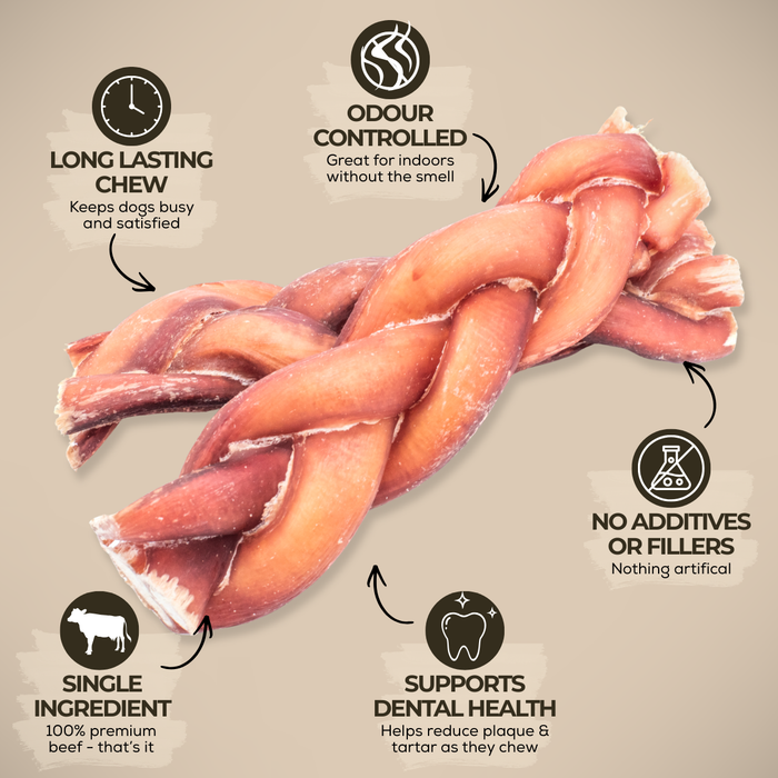 Dog chewing braided bully stick - long-lasting single-ingredient chew | Ombrava
