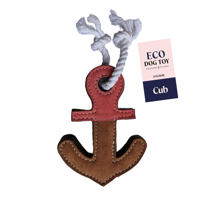 Anchor