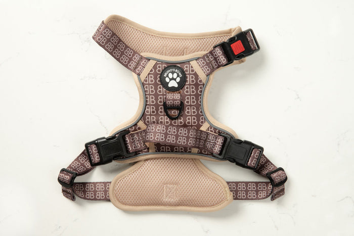 BB Signature MaxControl No Pull Harness