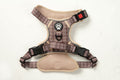 BB Signature MaxControl No Pull Harness