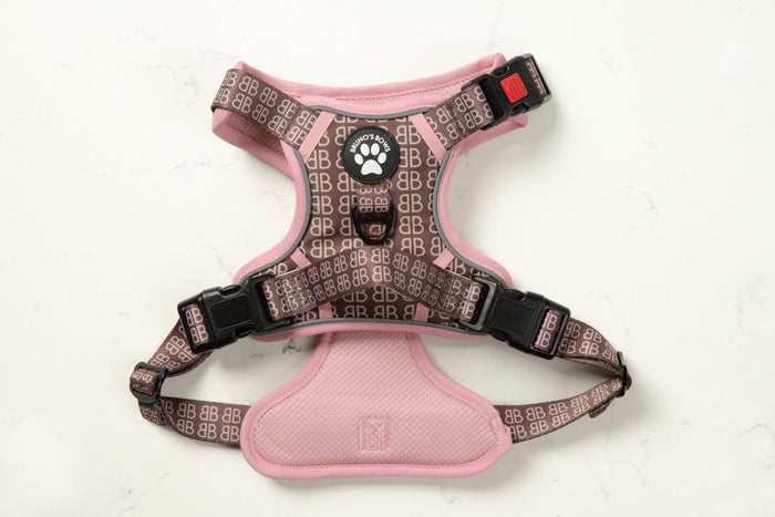 Bernadette MaxControl No Pull Harness