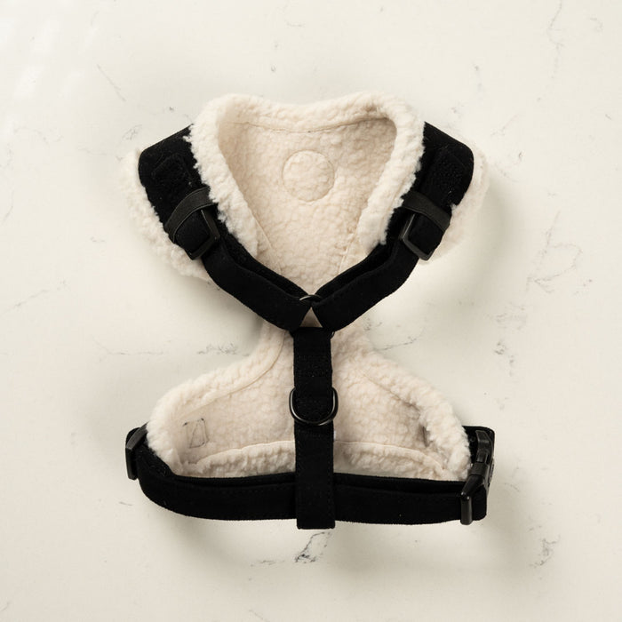 Black Velvet Harness