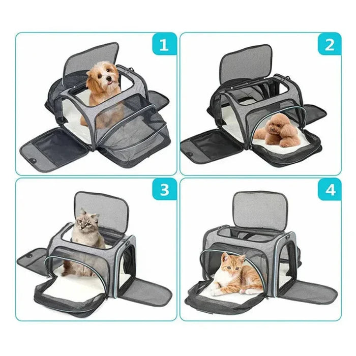 Breathable Portable Pet Carrier Bag for Traveling with Your Pet: gray, black cat, practical modern style