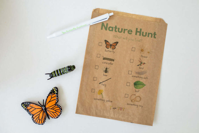 Butterfly Explorer Kit