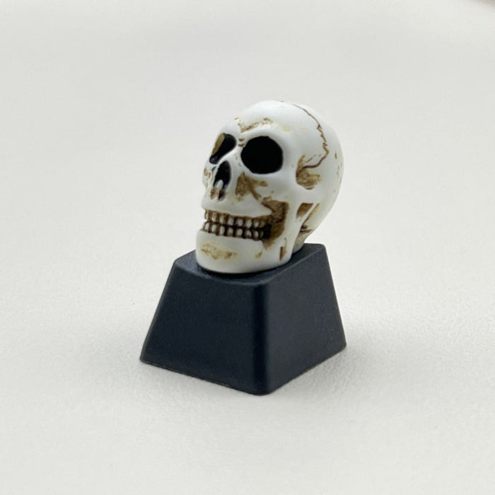 Computer Keycap with a Dark Skull Design: ivory white, black human skull, gothic style