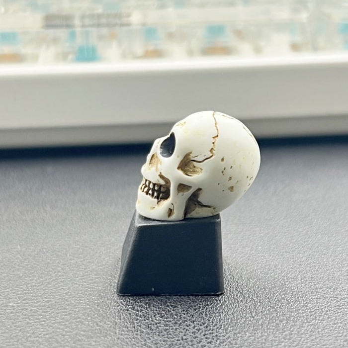 Computer Keycap with a Dark Skull Design: ivory white, black human skull, gothic style
