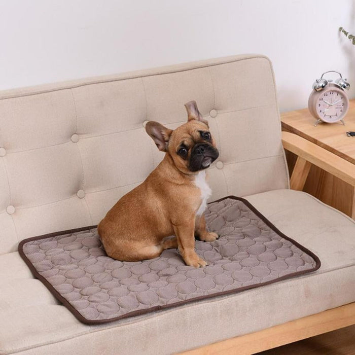 Cooling Pet Mats: bright blue, pink dog, minimal product advertisement style