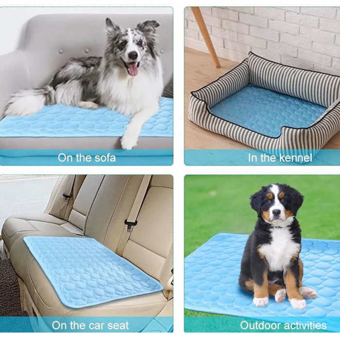 Cooling Pet Mats: bright blue, pink dog, minimal product advertisement style