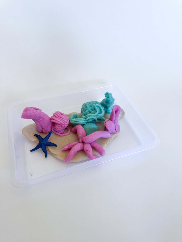 Children's Coral Reef Playdough Kit