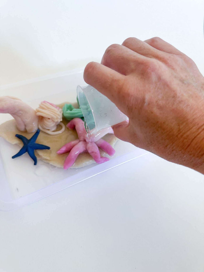 Children's Coral Reef Playdough Kit
