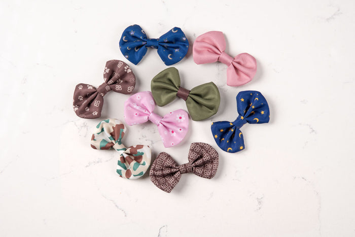 Daisy Bowtie