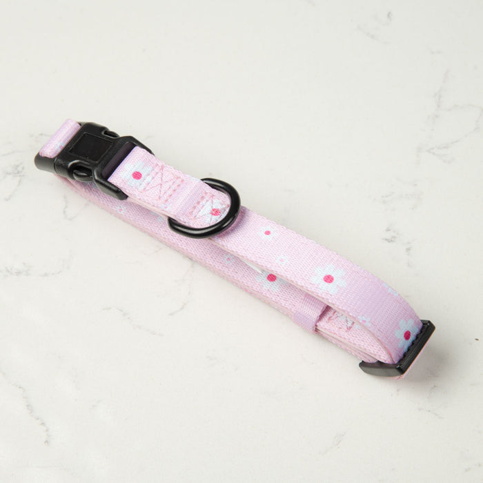 Daisy Collar