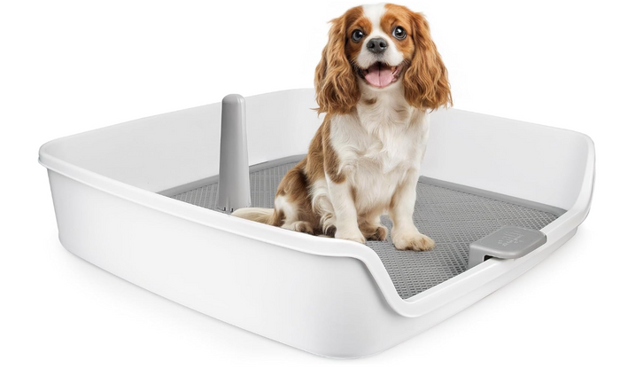 Dog Potty Tray 63x63cm Indoor Pee Pad Holder with Post Mesh Grid Training-41