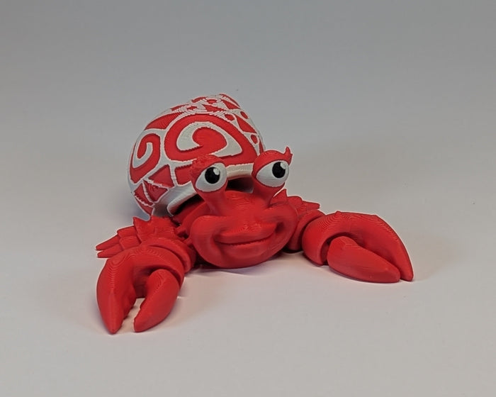 Tattooed Hermit Crab Female
