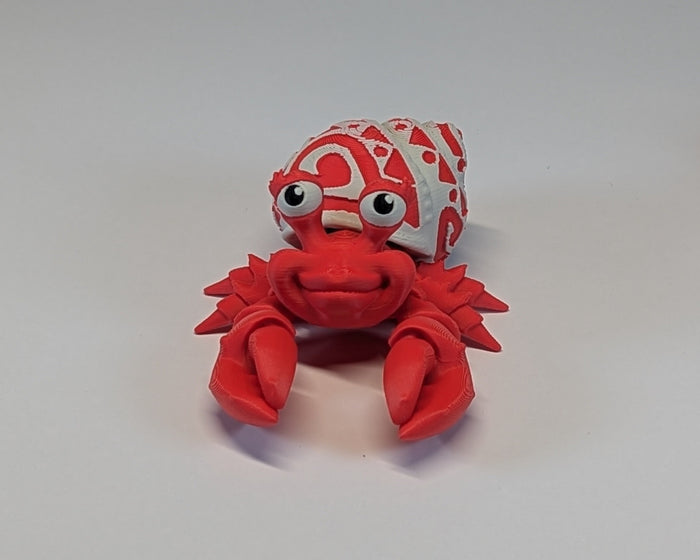 Tattooed Hermit Crab Female Facing Forward