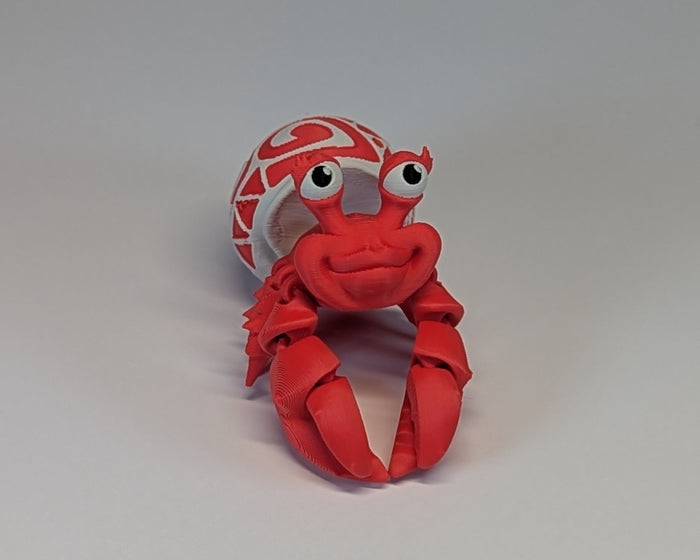 Tattooed Hermit Crab Female Posed