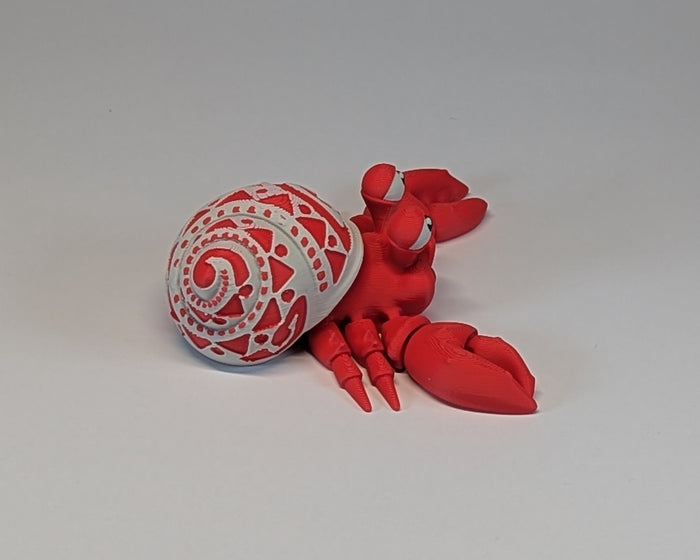 Tattooed Hermit Crab Right Side View