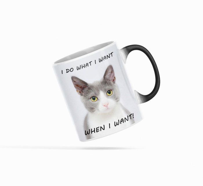 Heat Sensitive Color Changing Coffee Mug with a Bossy Kitten Vibe: white, black gray-and-white cat, cartoon-like photo print