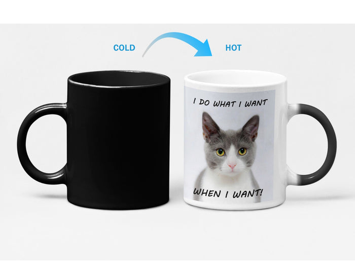 Heat Sensitive Color Changing Coffee Mug with a Bossy Kitten Vibe: white, black gray-and-white cat, cartoon-like photo print