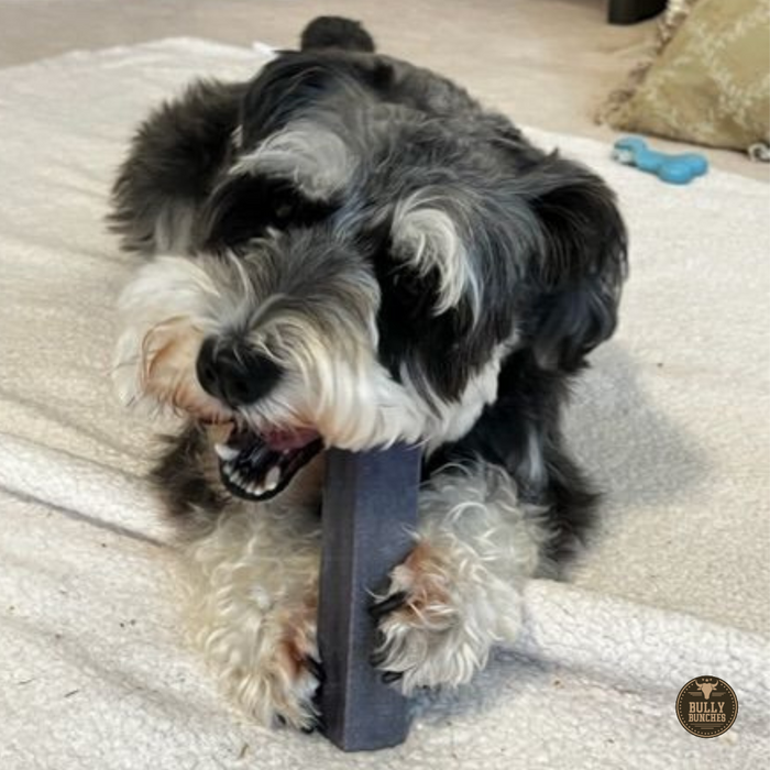 bully stick close-up showing natural beef texture | Ombrava