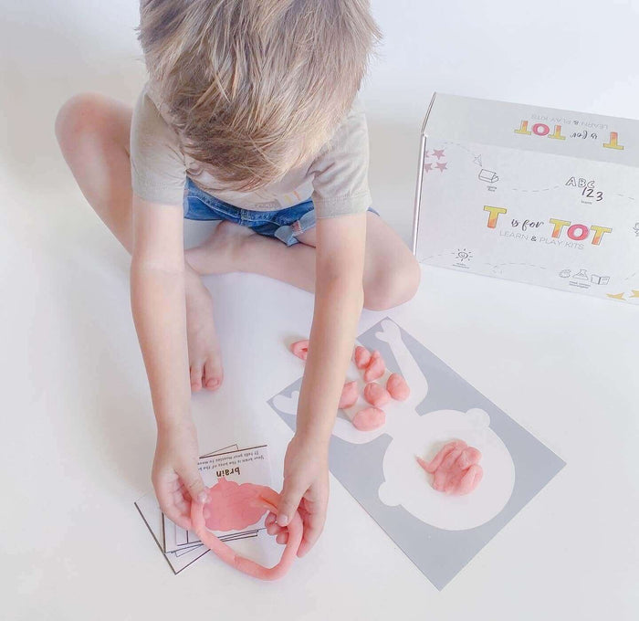 Children's educational kit for learning about the human body, complete with x-ray images, a lung experiment, playdough mat with organ placement, and a play stethoscope that really works.
