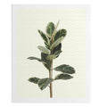 Jigsaw Puzzle, 500-Piece Plant in Oil: white, pale cream variegated leafy plant, minimal botanical style