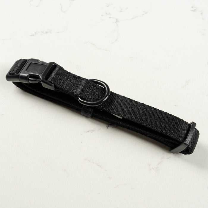Midnight Collar