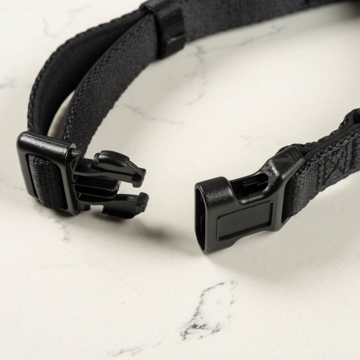 Midnight Collar
