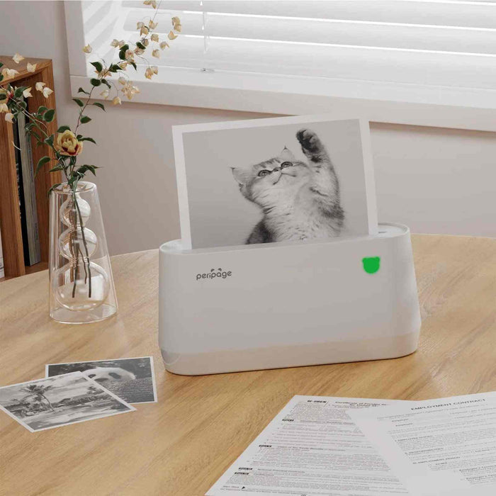 PeriPage A9 Max thermal printer printing colorful study labels like “Mathematics” and “Economics” for file organization