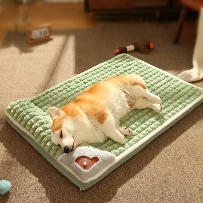 Pet Pillow Bed Combo: light green, white dog, cozy style