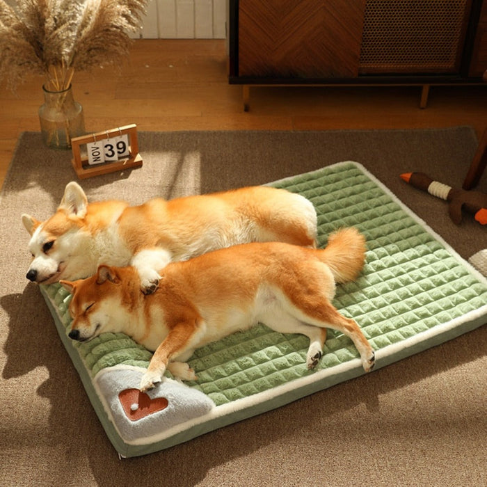 Pet Pillow Bed Combo: light green, white dog, cozy style