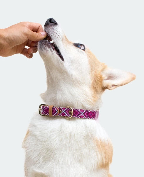 Pill a Pet™ - Bacon
