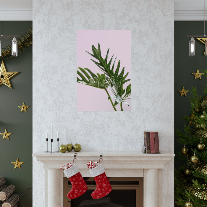 Pink Poster, Philodendron Delight: pale pink, dark green green split-leaf plant foliage, minimal botanical style