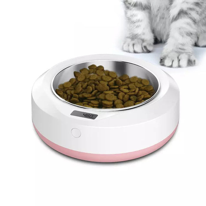 Portable Automatic Pet Feeder