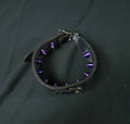 Rainbow Snake Spiked Collar