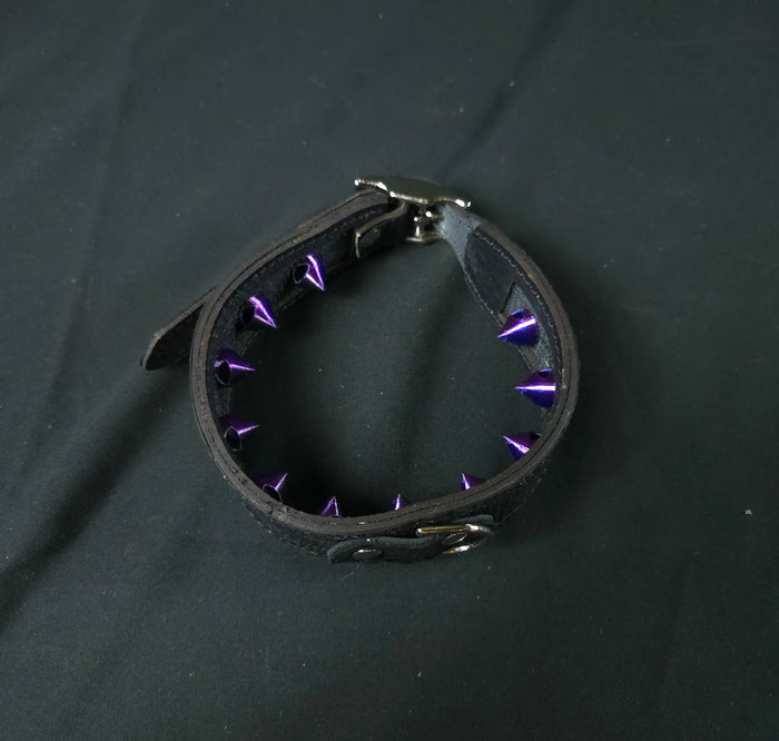 Rainbow Snake Spiked Collar