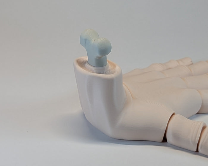 Flexi Factory Articulated Wrist Bone Closeup