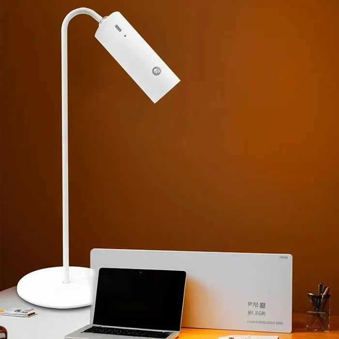 Rechargeable LED Desk Lamp