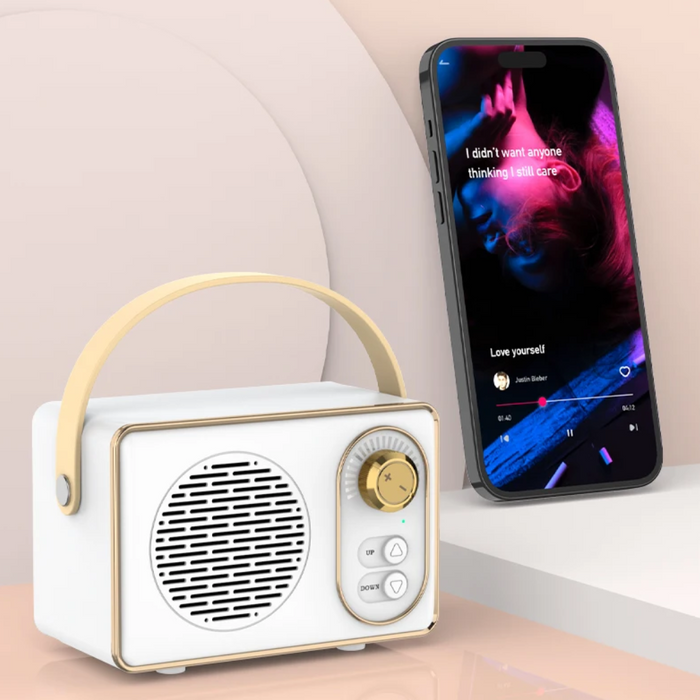 Retro Mini Wireless Bluetooth Speaker with Adjustable Knob: mint green, gold portable speaker, retro, minimal style