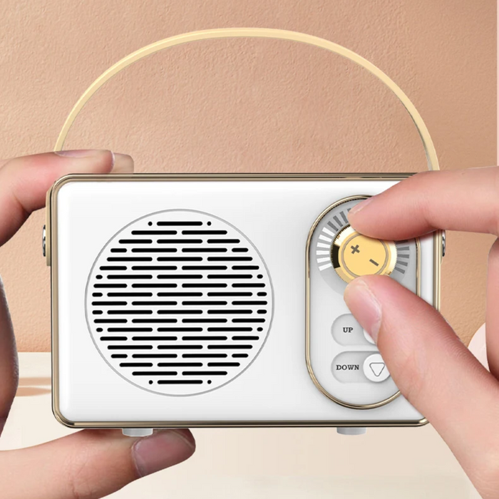 Retro Mini Wireless Bluetooth Speaker with Adjustable Knob: mint green, gold portable speaker, retro, minimal style