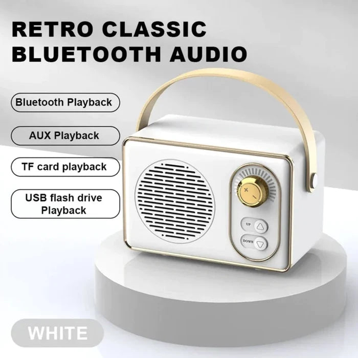 Retro Mini Wireless Bluetooth Speaker with Adjustable Knob: mint green, gold portable speaker, retro, minimal style