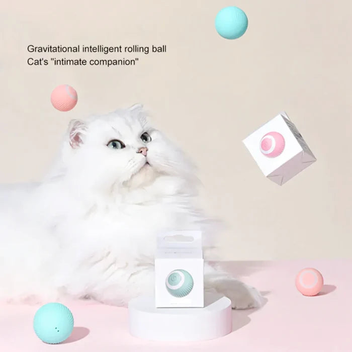 Rolling Cat Toy Ball, Electric and Entertaining: mint green, aqua round electronic devices, minimal pastel style