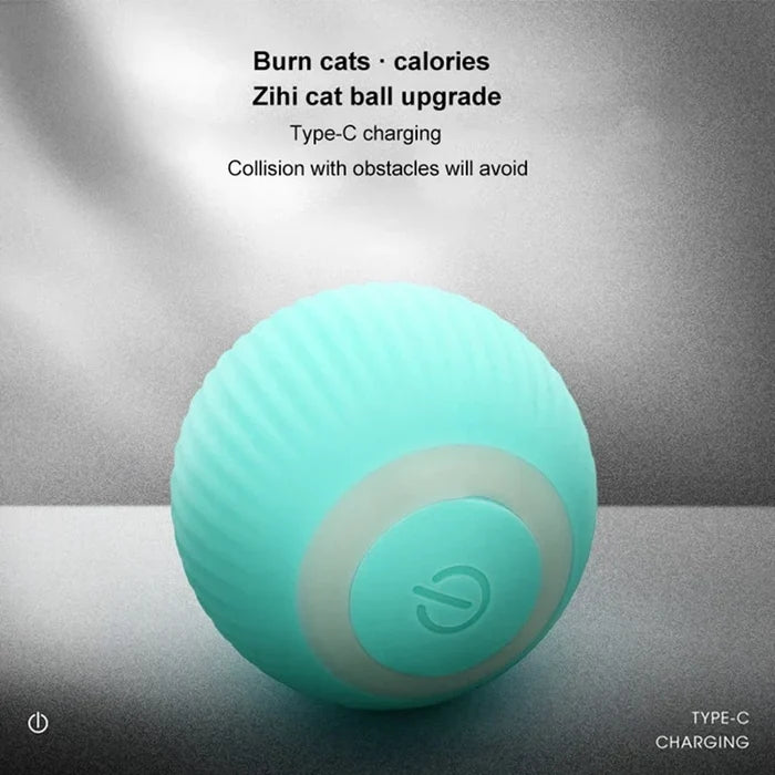 Rolling Cat Toy Ball, Electric and Entertaining: mint green, aqua round electronic devices, minimal pastel style