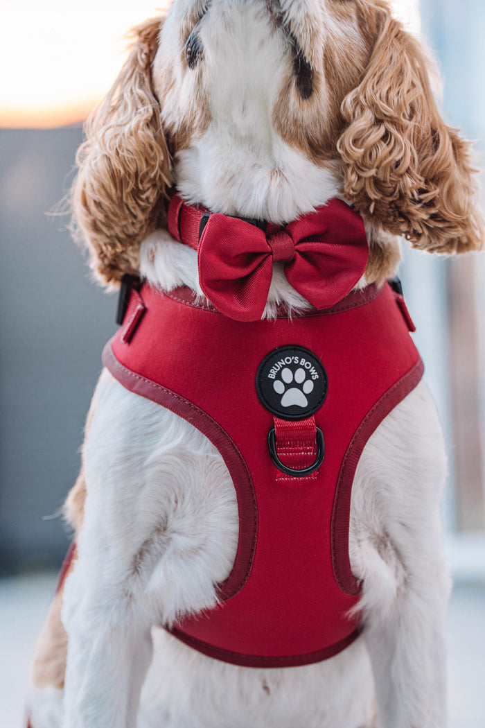 Ruby Bowtie